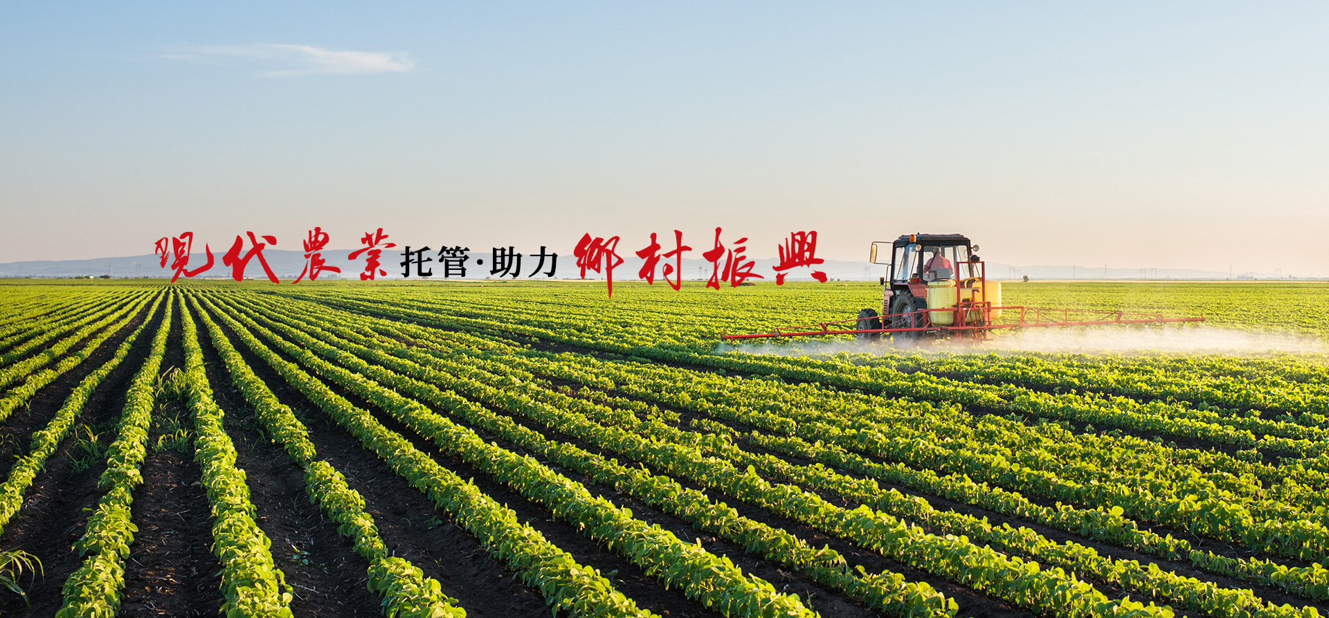 農(nóng)用微生物菌劑是農(nóng)藥么?