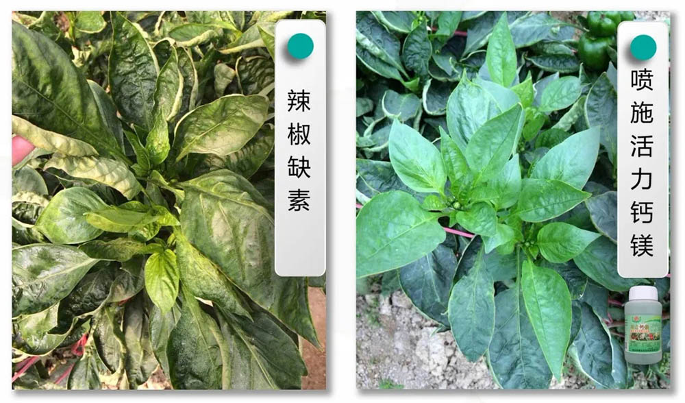 佛山市植寶生態(tài)科技有限公司