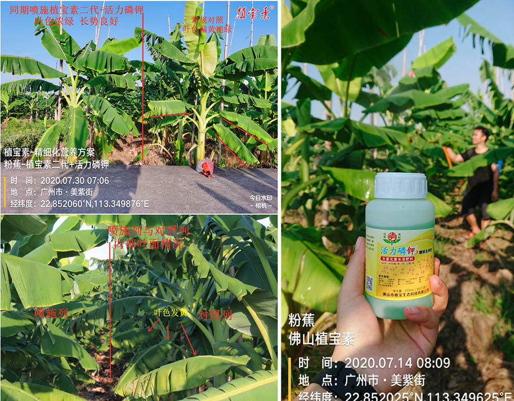 佛山市植寶生態(tài)科技有限公司