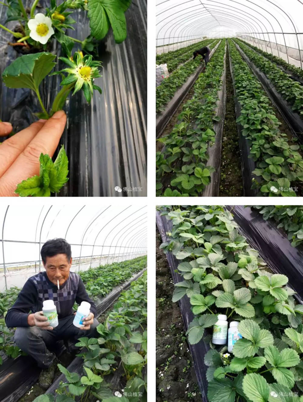 佛山市植寶生態(tài)科技有限公司