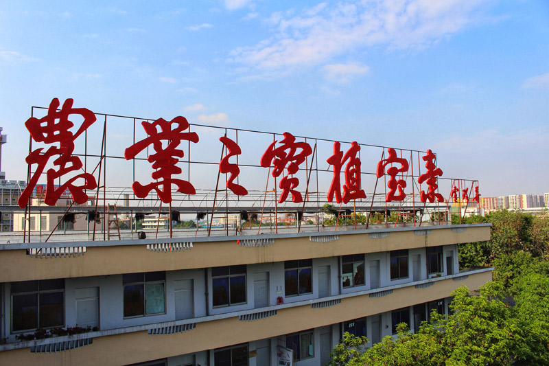 禪城育企：從“星星多月亮少”邁向“增量提質(zhì)”